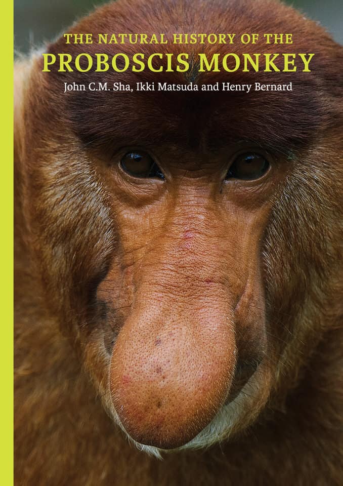 The Natural History Of The Proboscis Monkey Natural