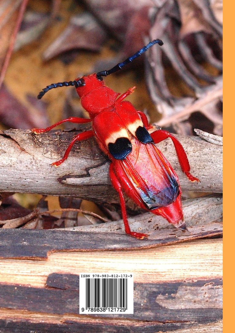 A Guide To Beetles Of Borneo - Natural History Publications (Borneo)