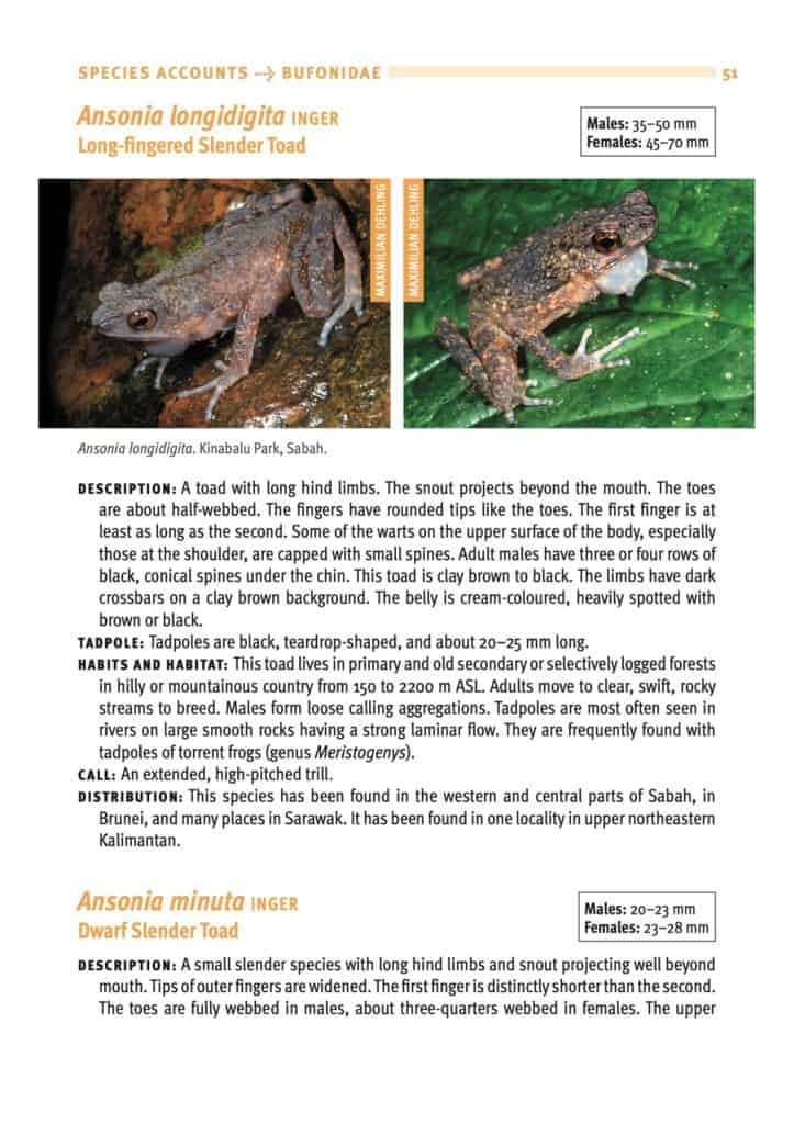 A Field Guide to the Frogs of Borneo (3rd Edition) - Natural History ...