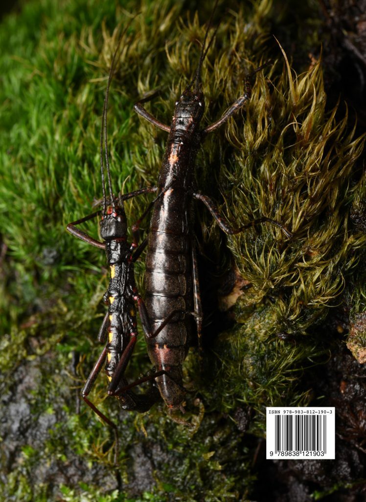 A Taxonomic Guide To The Stick Insects Of Borneo Vol. 2 - Natural ...