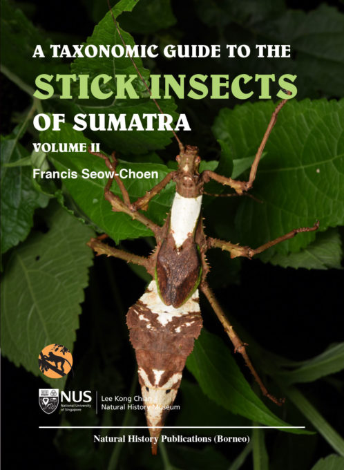 A Taxonomic Guide To The Stick Insects Of Borneo Vol. 2 - Natural ...